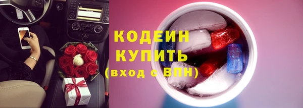не бодяженный Иннополис