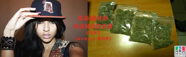дмт Инсар