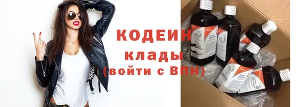 дмт Инсар