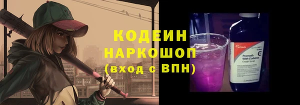 дмт Инсар