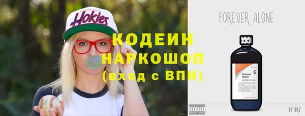 дмт Инсар