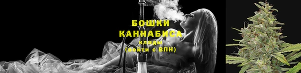 не бодяженный Иннополис