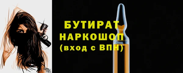 дмт Инсар