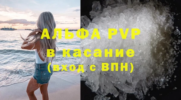 дмт Инсар