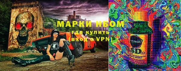 дмт Инсар