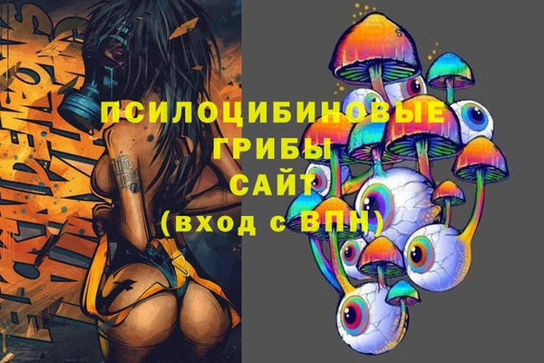 не бодяженный Иннополис