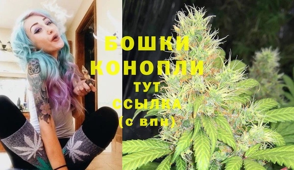 не бодяженный Иннополис