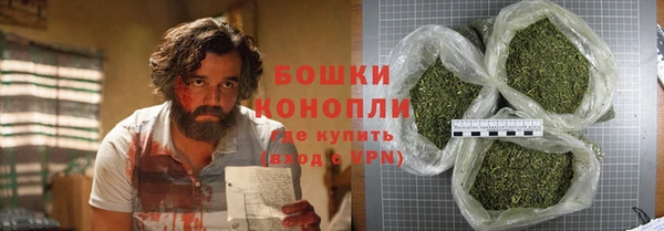 дмт Инсар