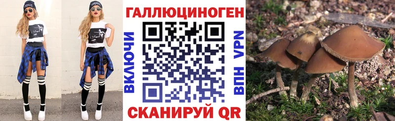 Купить  Арзамас  Галлюциногенные грибы мухоморы 